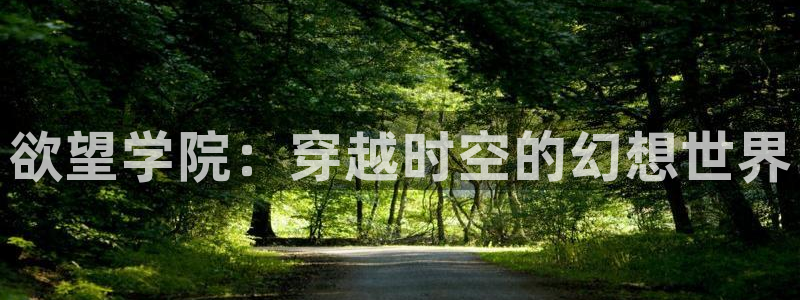 51动漫大全动漫免费今日
